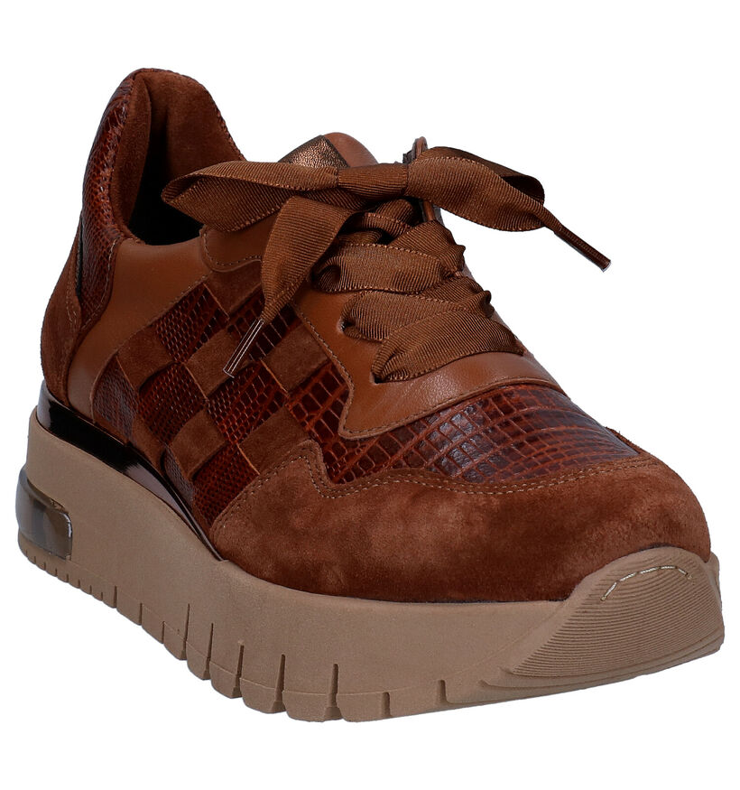 Softwaves Baskets casual en Cognac en cuir (298123)