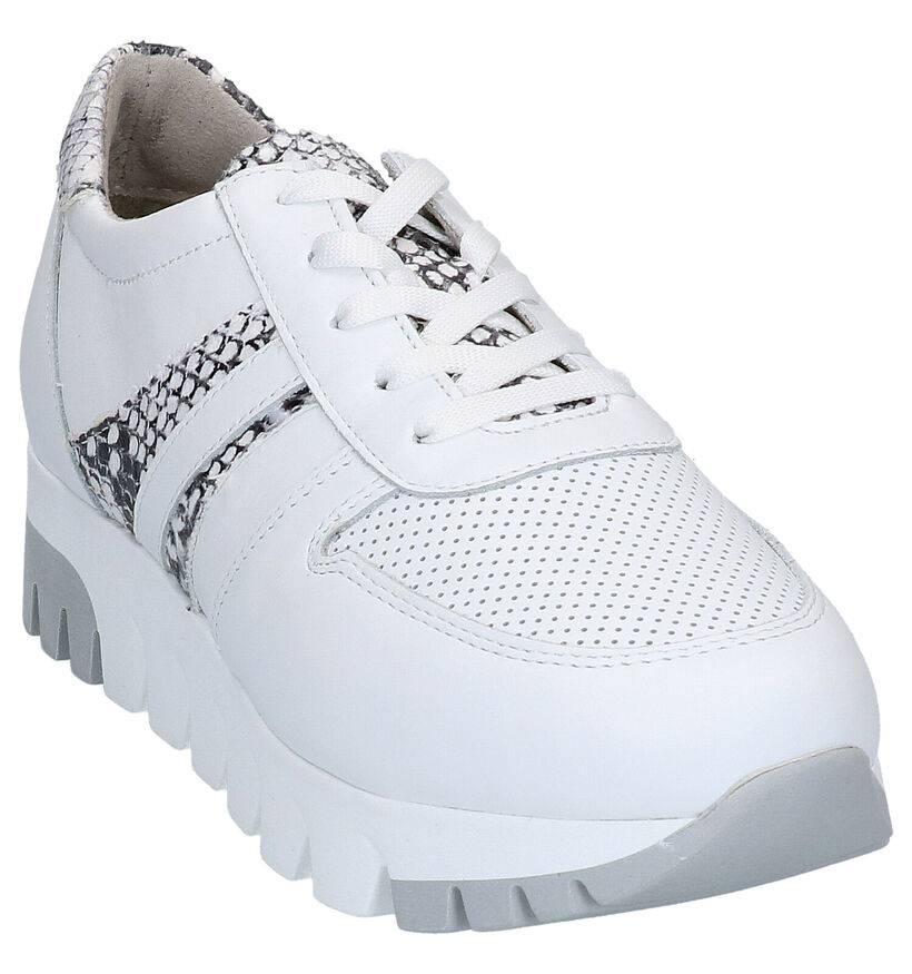 Tamaris Chaussures à lacets en Blanc en cuir (270119)