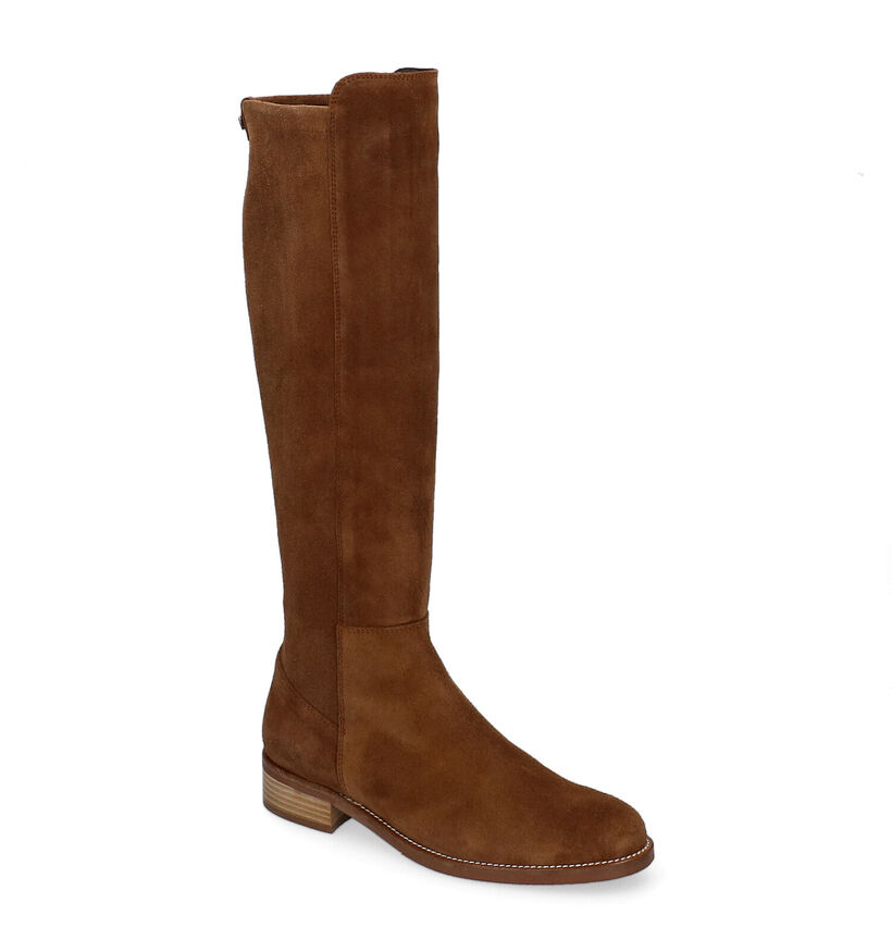 Pedro Miralles Bottes hautes en Cognac pour femmes (298727)