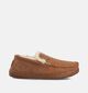Grizzly Pantoufles fermées en Cognac pour hommes (363336)