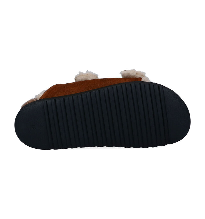 Gabor Cognac Slippers in daim (300237)