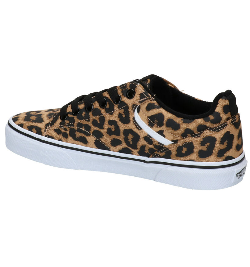 Vans Seldan Baskets en Brun en simili cuir (277597)
