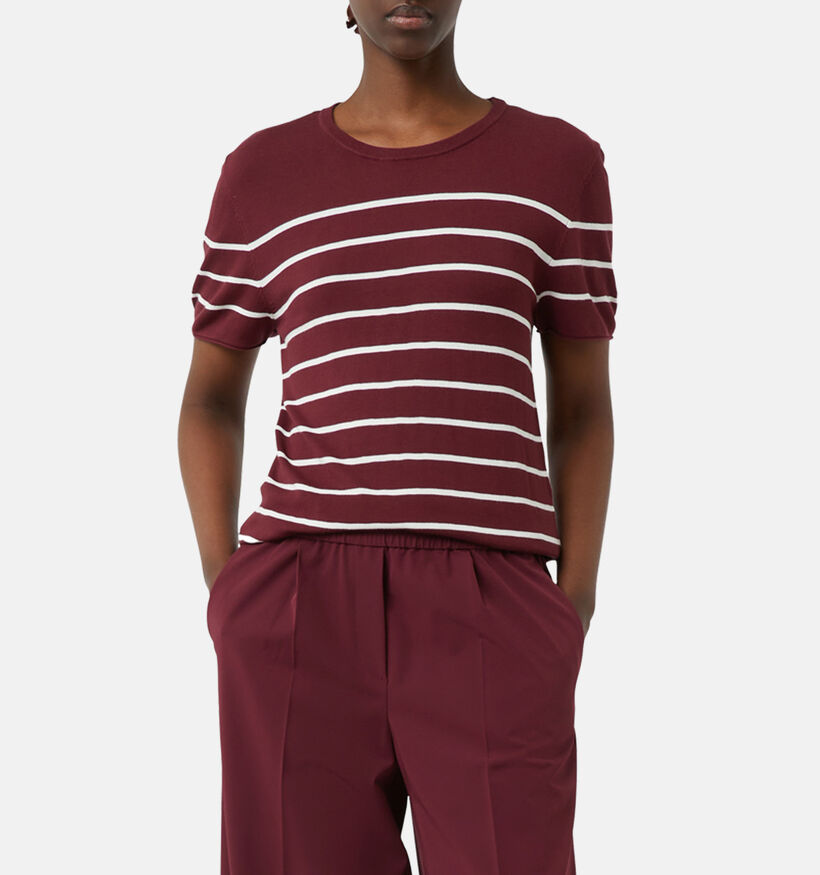 comma casual identity Pull en Bordeaux pour femmes (364469)