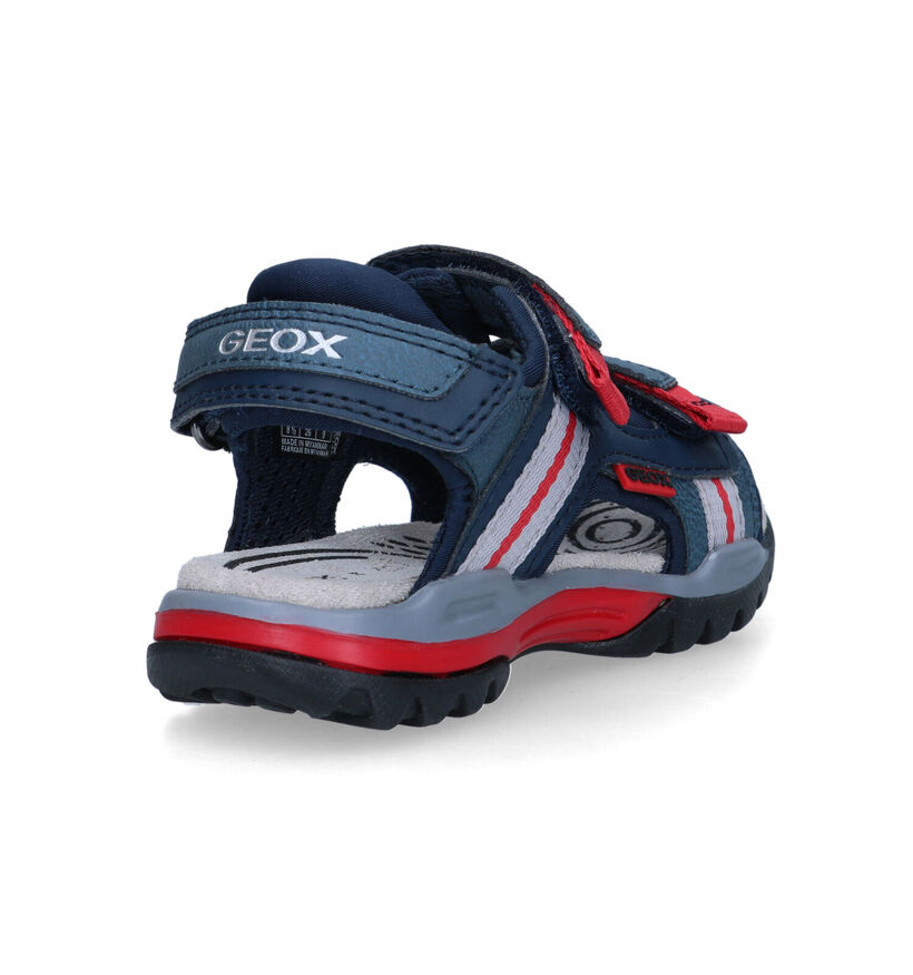 Geox Borealis Sandales en Bleu pour garçons (321556)