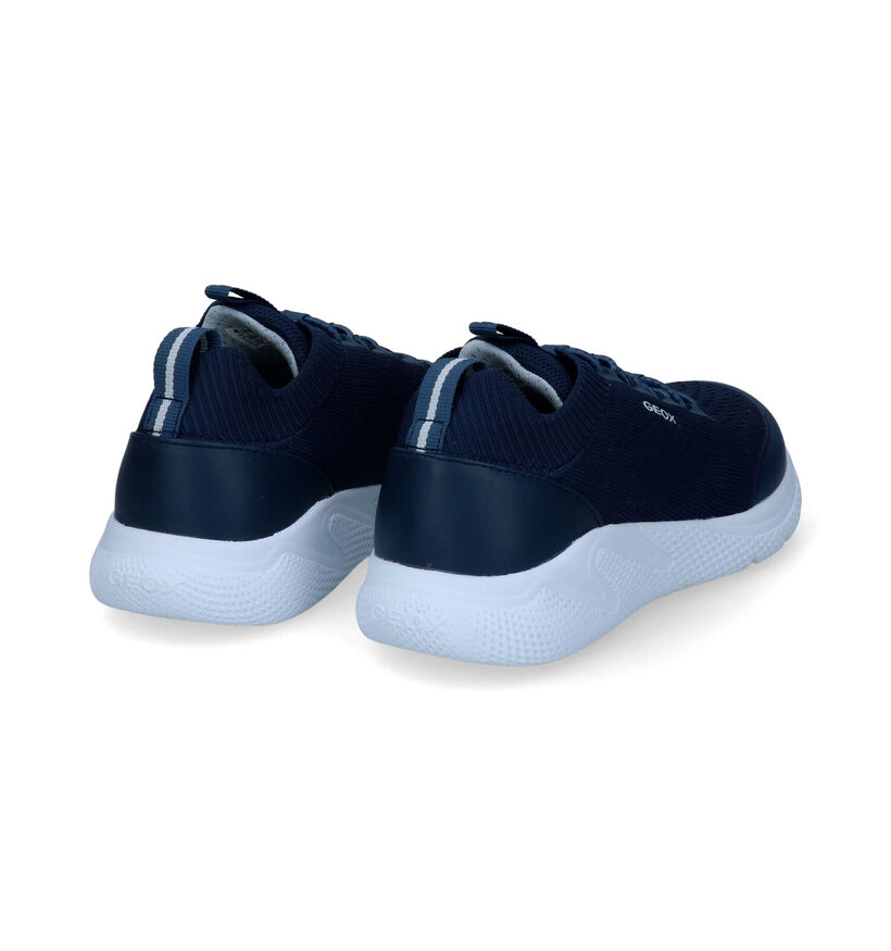 Geox Sprintye Baskets en Bleu pour garçons (302611) - pour semelles orthopédiques