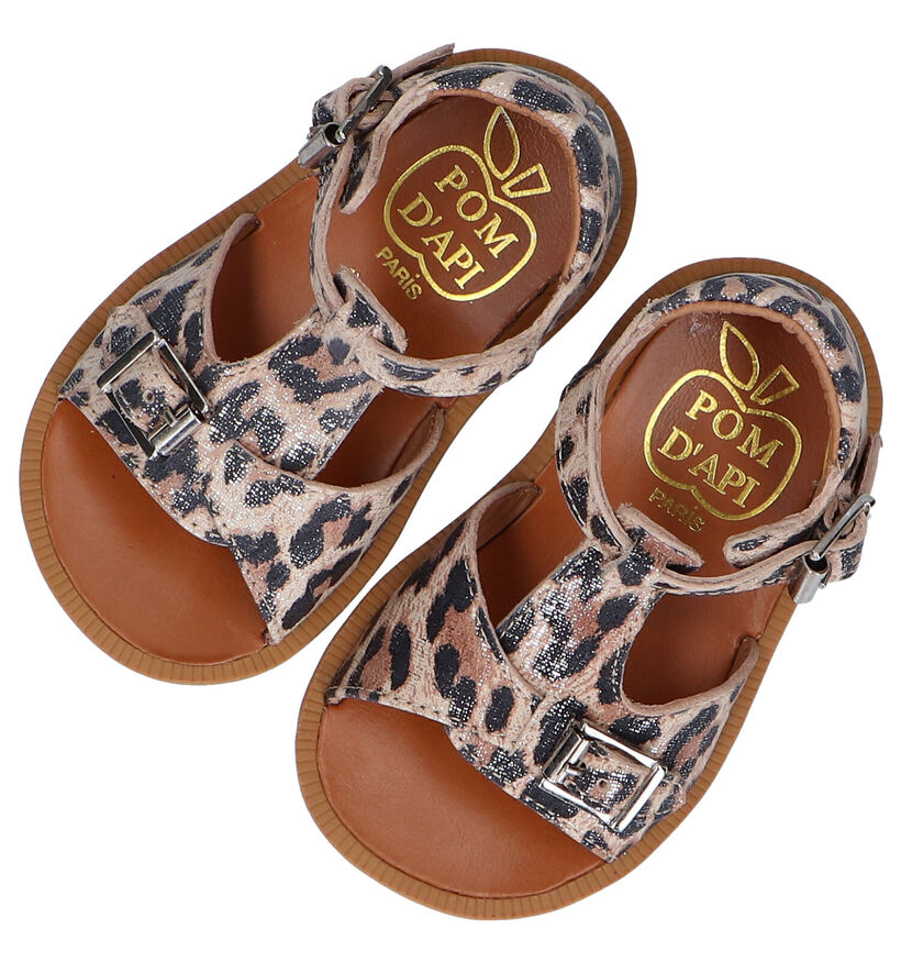 Pom d'Api Poppy Buckle Sandales en Marron pour filles (288607)