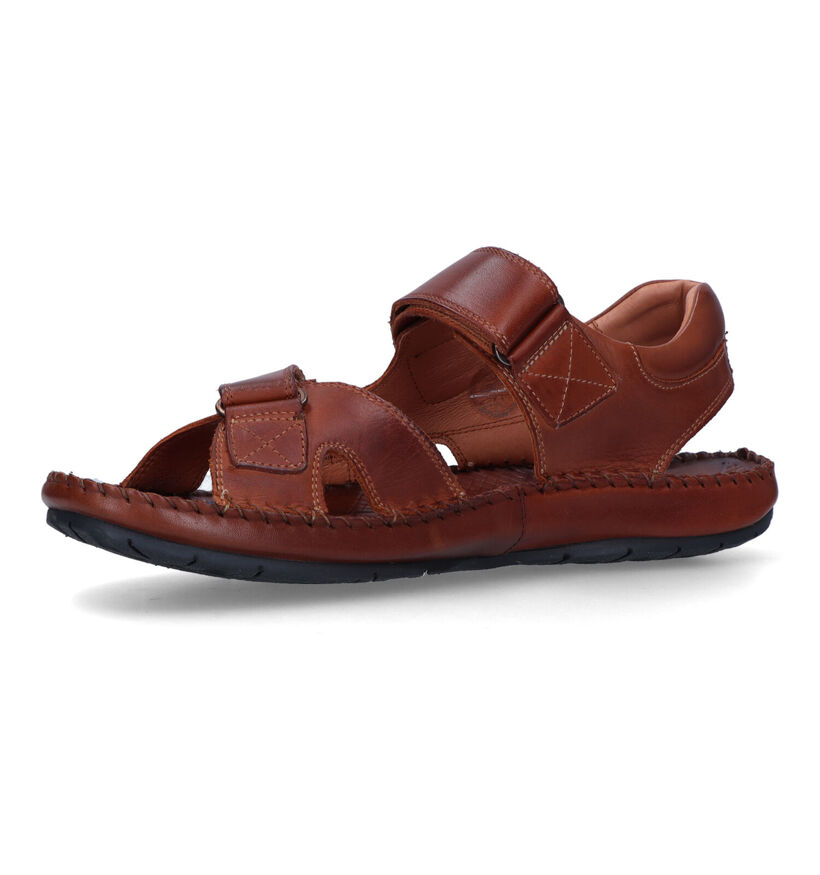 Pikolinos Tarifa Sandales en Cognac pour hommes (339802)