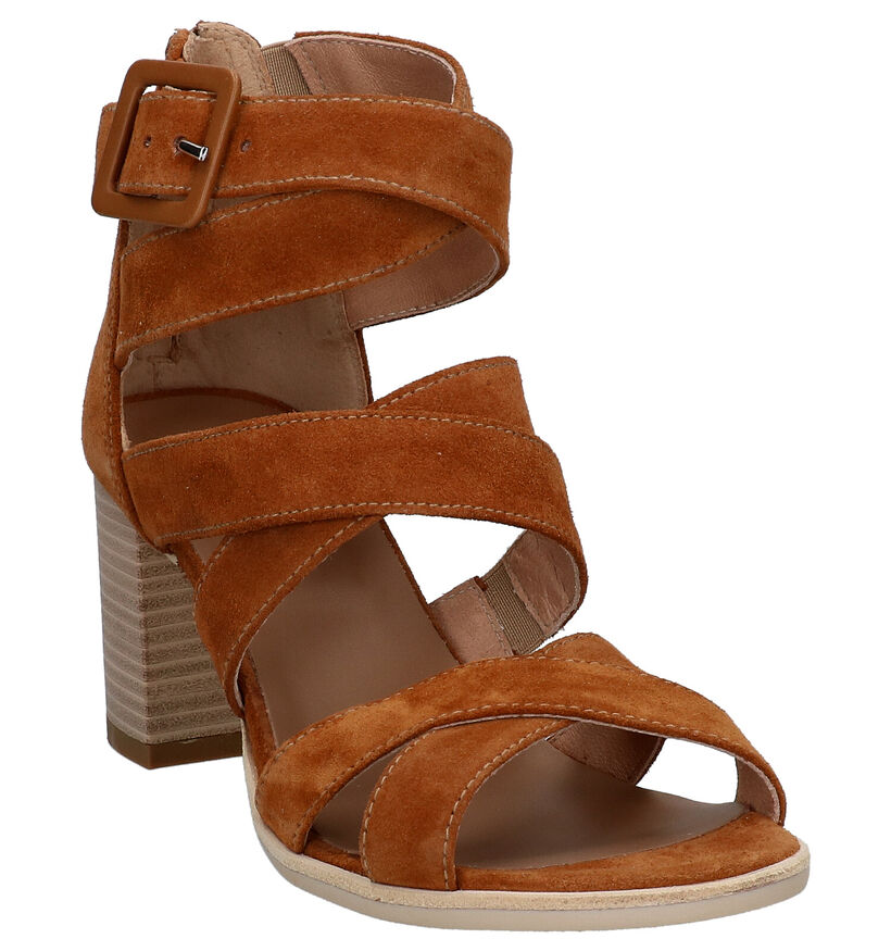 NeroGiardini Cognac Sandalen in nubuck (274332)