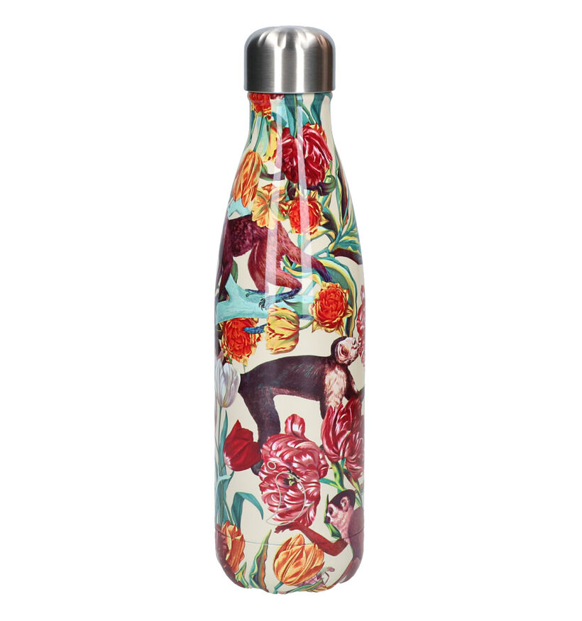 Chilly's x Tropical Monkey Gourde en Multicolor 500ml pour filles, femmes (283543)