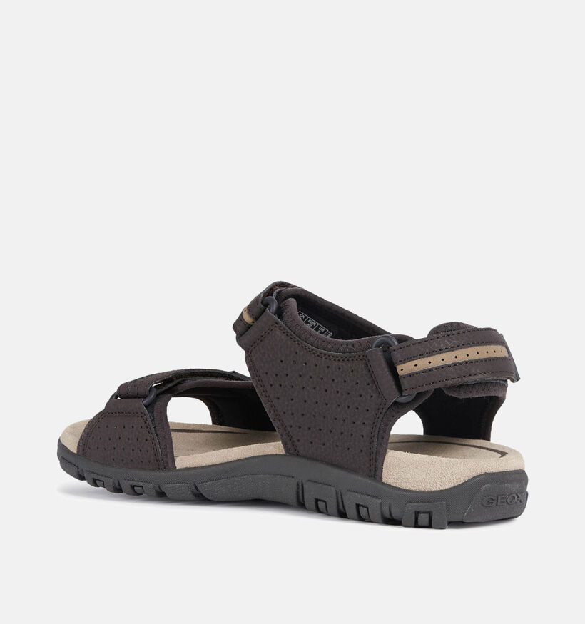 Geox Sandales en Marron pour hommes (367998)