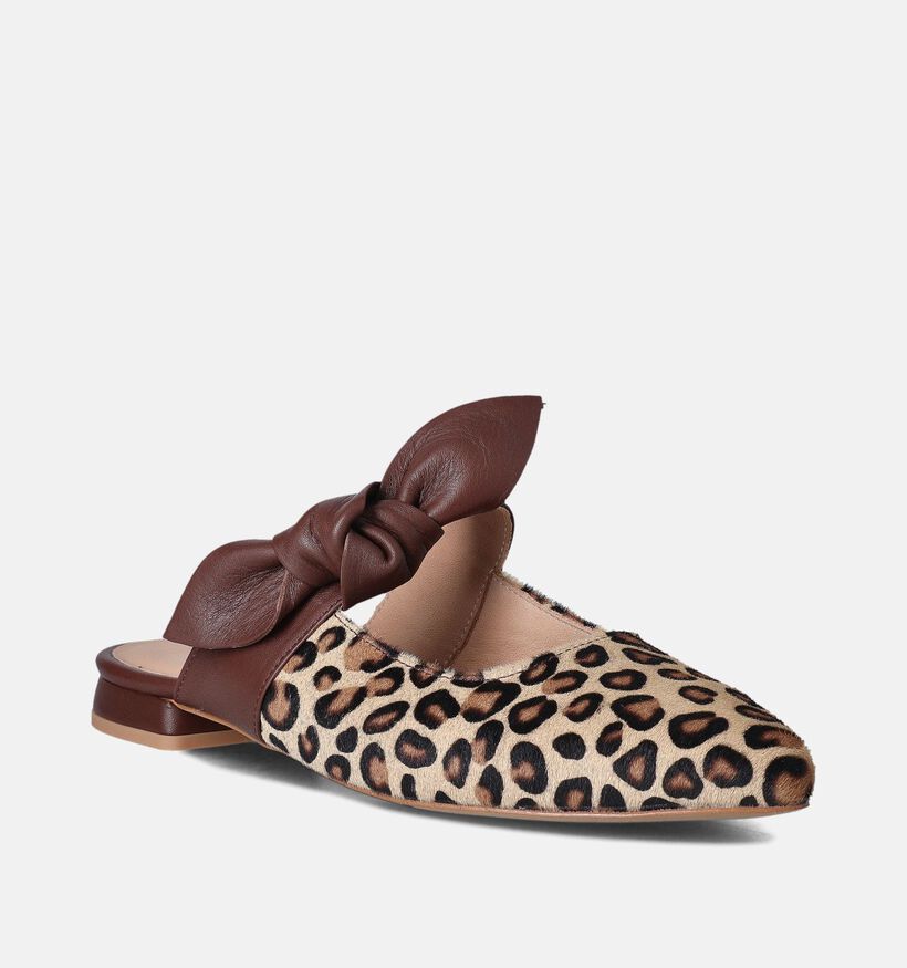 Laurent David Bruine Slippers voor dames (357822)