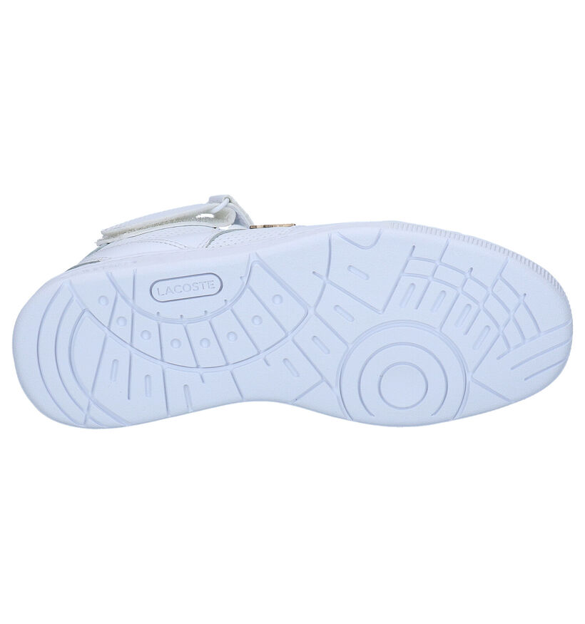 Lacoste Tramline Baskets en Blanc en cuir (266913)