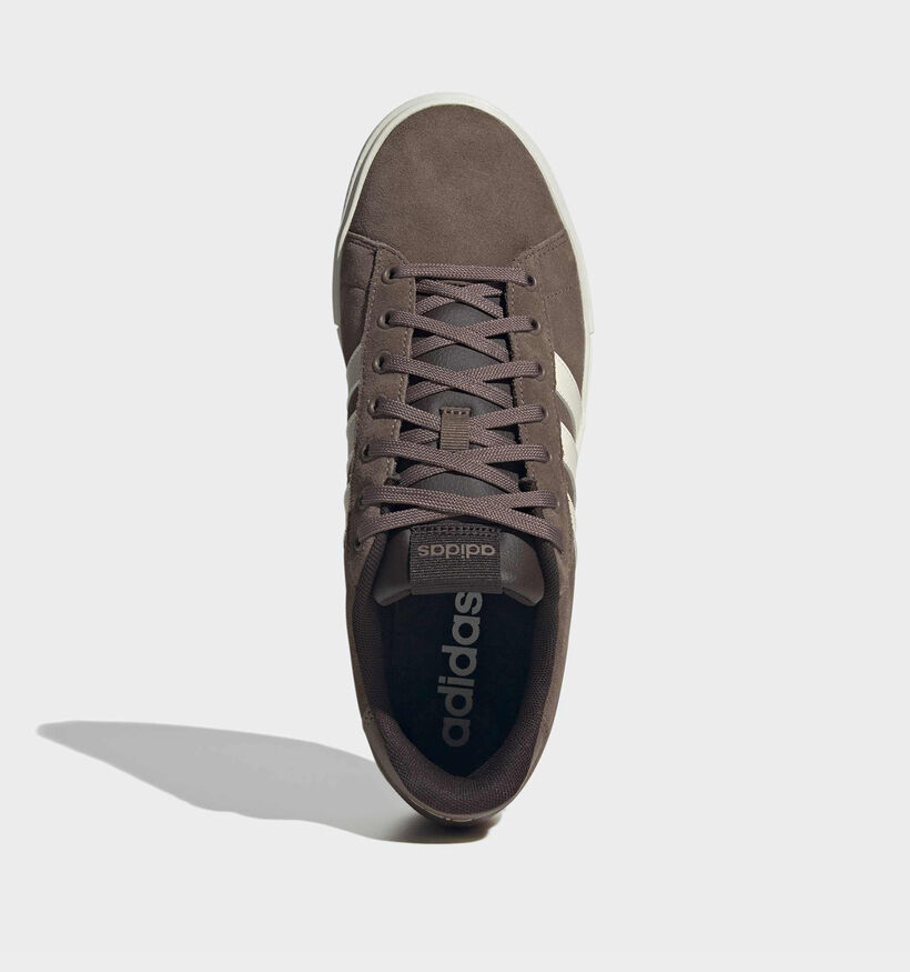 adidas Daily 4.0 Bruine Sneakers voor heren (372615) - geschikt voor steunzolen