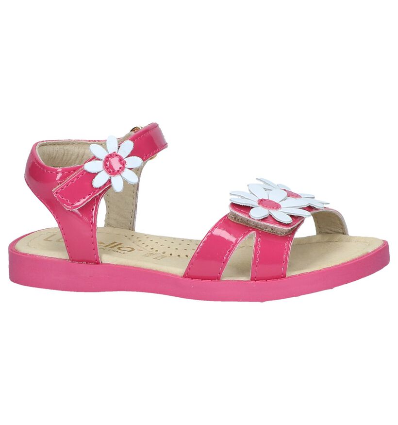 Lunella Sandales en Rose fuchsia en cuir (238976)