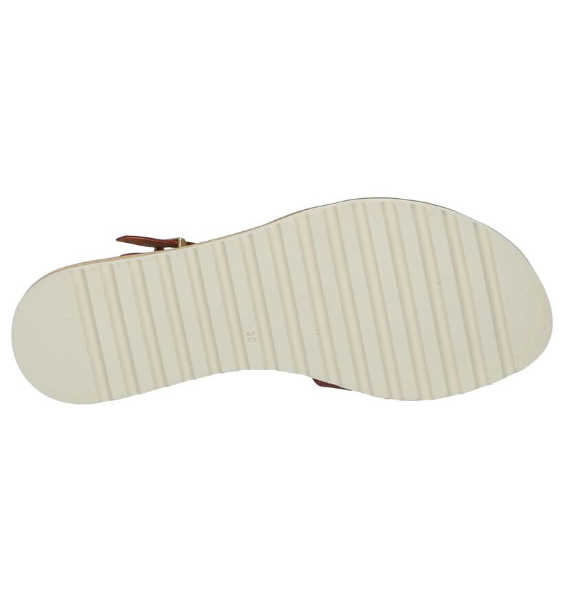 Bordeaux Sandalen Pikolinos Alcudia in leer (247274)
