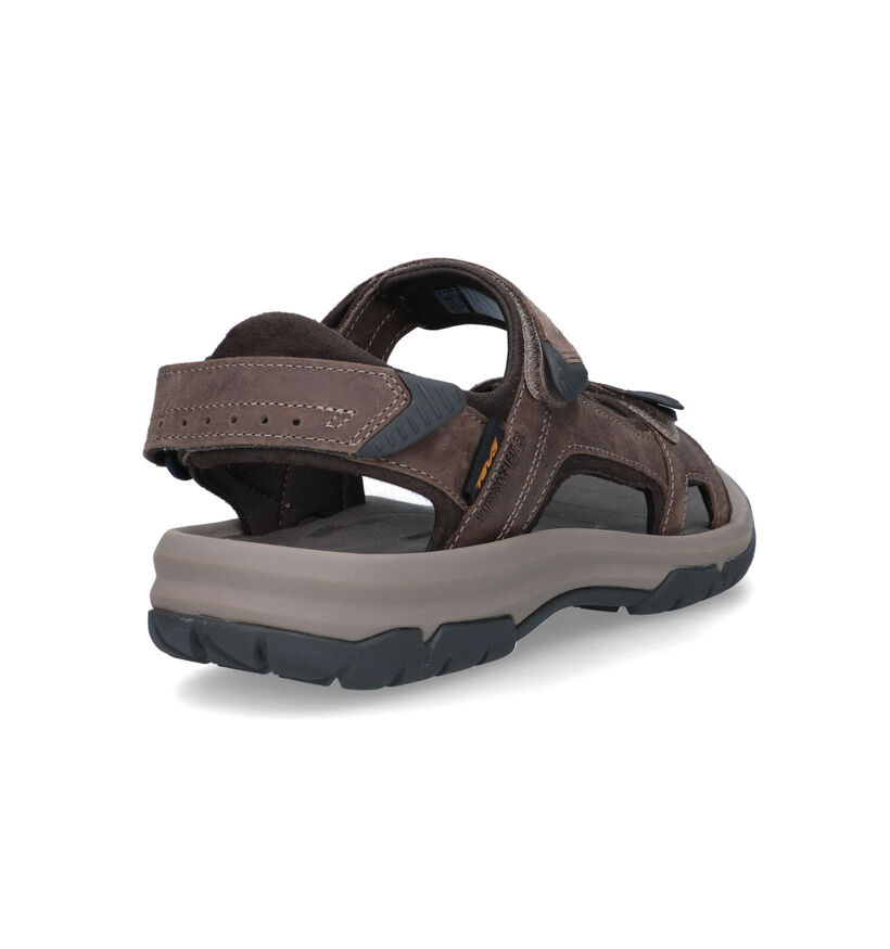 Teva Langdon Sandal Sandales de marche en Marron pour hommes (354633)