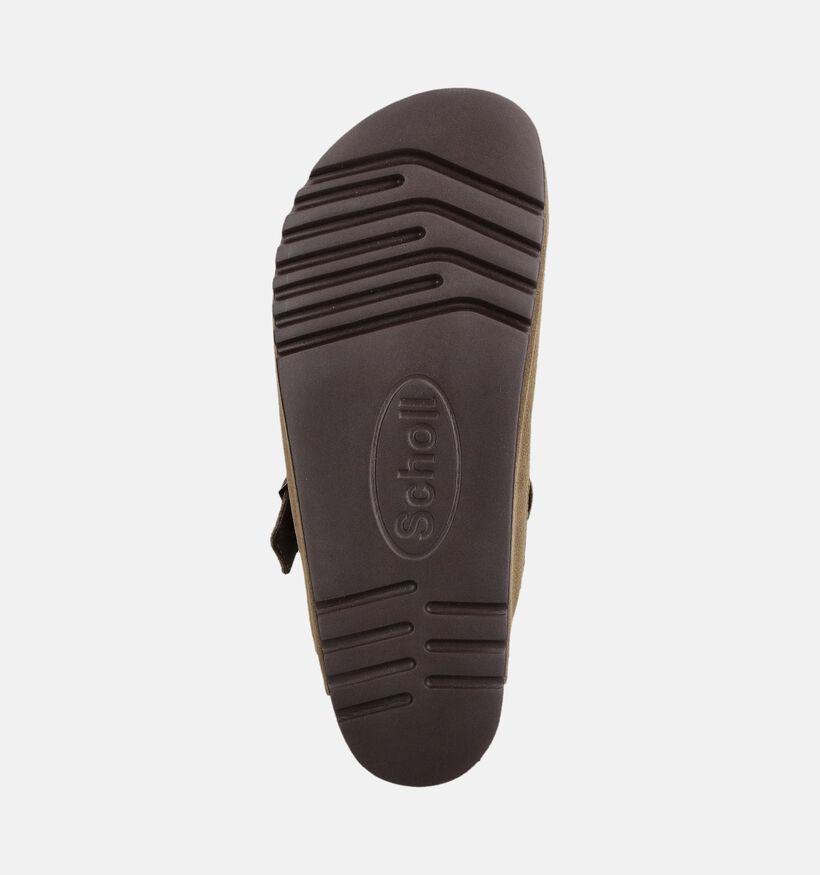 Scholl Olivier Primaloft Pantoufles en Vert pour hommes (381861)
