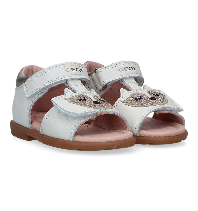 Geox Verred Sandales en Rose pour filles (320635)