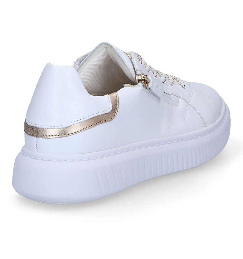 Gabor OptiFit Witte Sneakers in leer (308431)