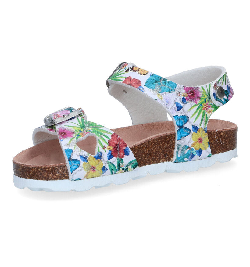 Milo & Mila Sandales en Multicolore en simili cuir (304574)