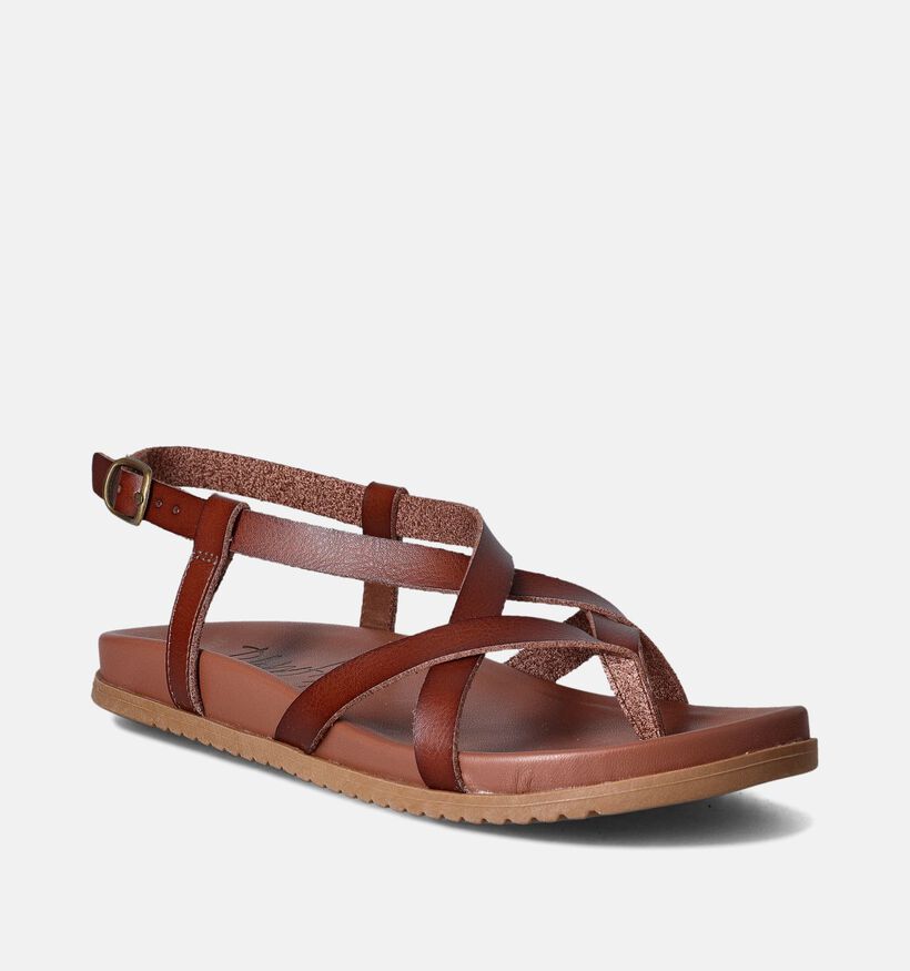 Blouwfish Malibu Camden Sandalen Cognac voor dames (355000)