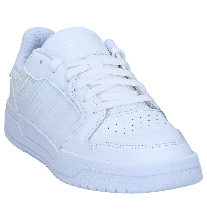 adidas Entrap Witte Sneakers in kunstleer (276466)