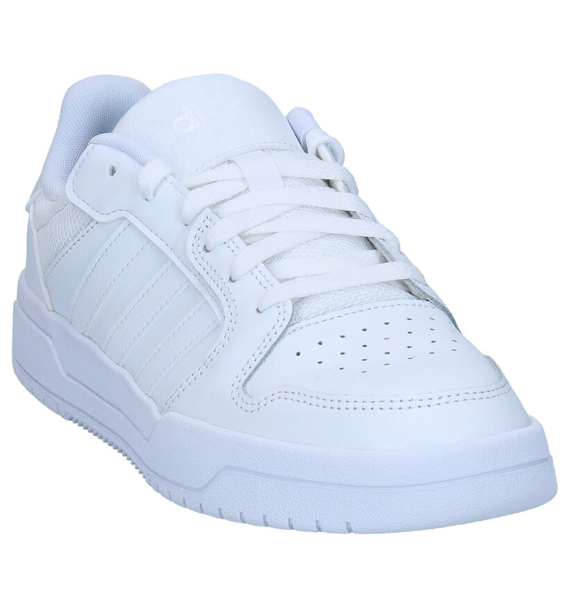 adidas Entrap Baskets en Blanc en cuir (276466)