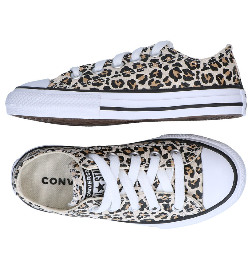 Converse Chuck Taylor AS Leopard Baskets en Beige en textile (286184)