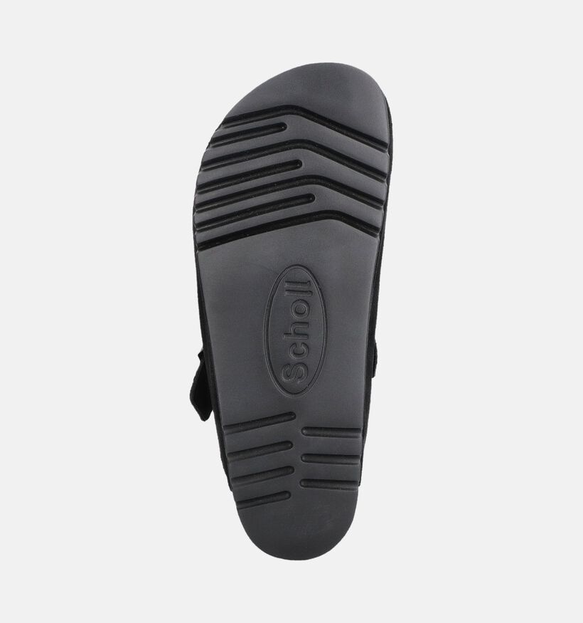 Scholl Olivier Primaloft Pantoufles en Noir pour hommes (381860)
