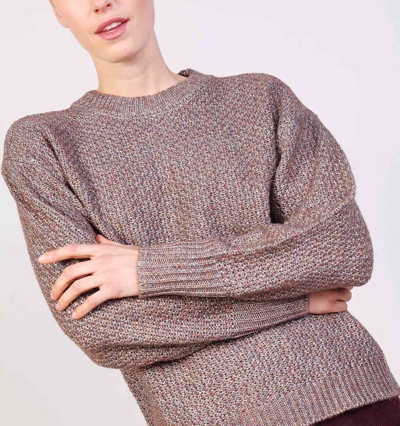 Desires Lindsey Donkerbruine Trui voor dames (365835)