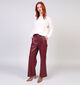 Adoré Alyzee Pantalon en Bordeaux pour femmes (369233)