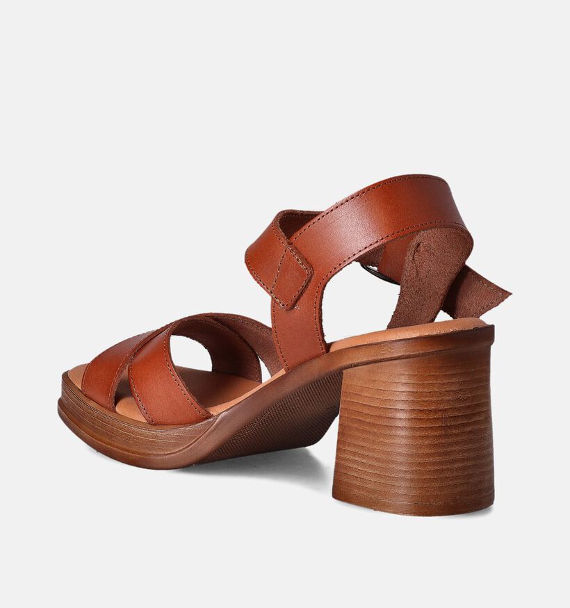 Hee Cognac Sandalen met blokhak voor dames (354794)