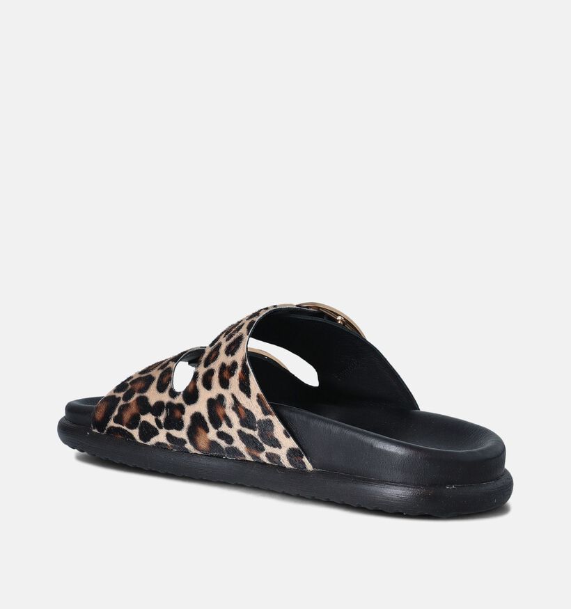 Laurent David Zwarte Slippers voor dames (357847)