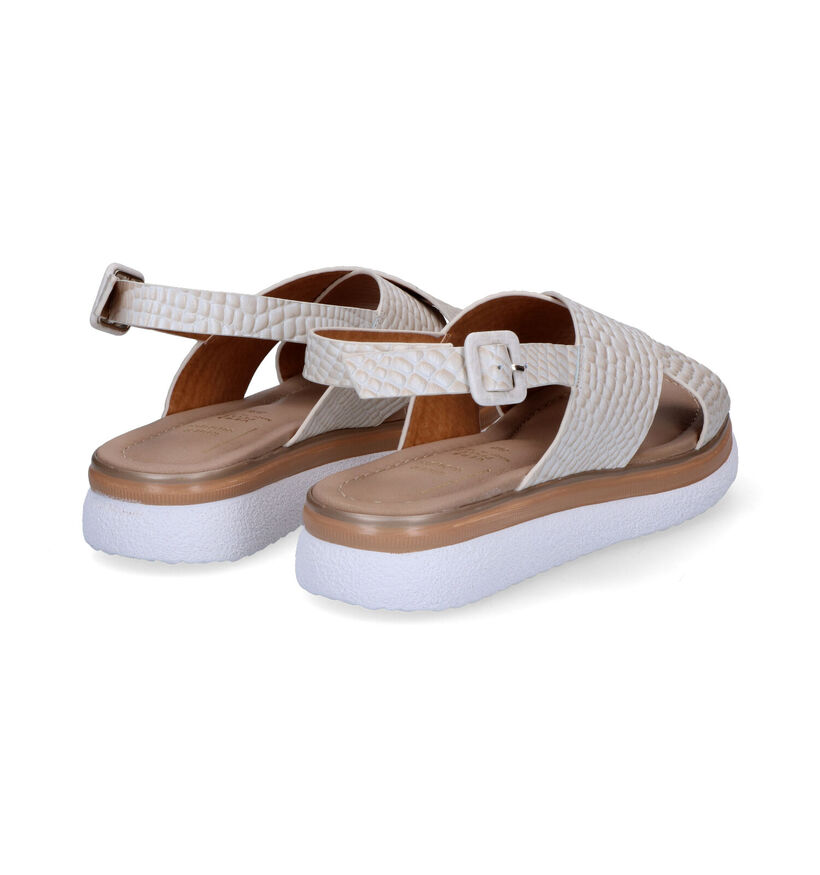 River Woods Baila Sandales en Beige en cuir (306941)