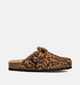 Scholl Bruine/Leopard Gesloten Slippers voor dames (364555)