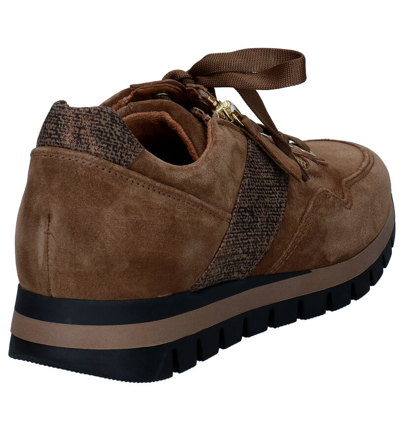 Gabor OptiFit Chaussures à lacets en Cognac en daim (297426)