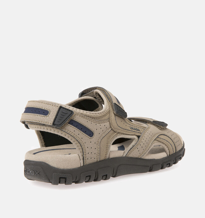 Geox Uomo Sandales de marche en Marron pour hommes (351636)