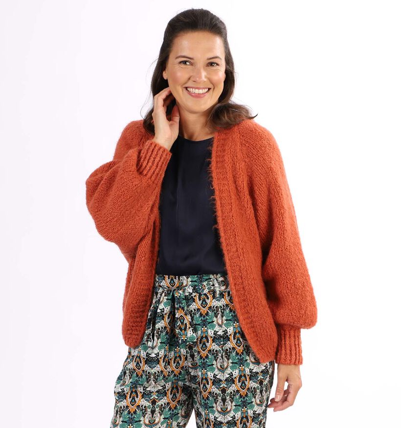 Dolce C. Oranje Cardigan (304353)