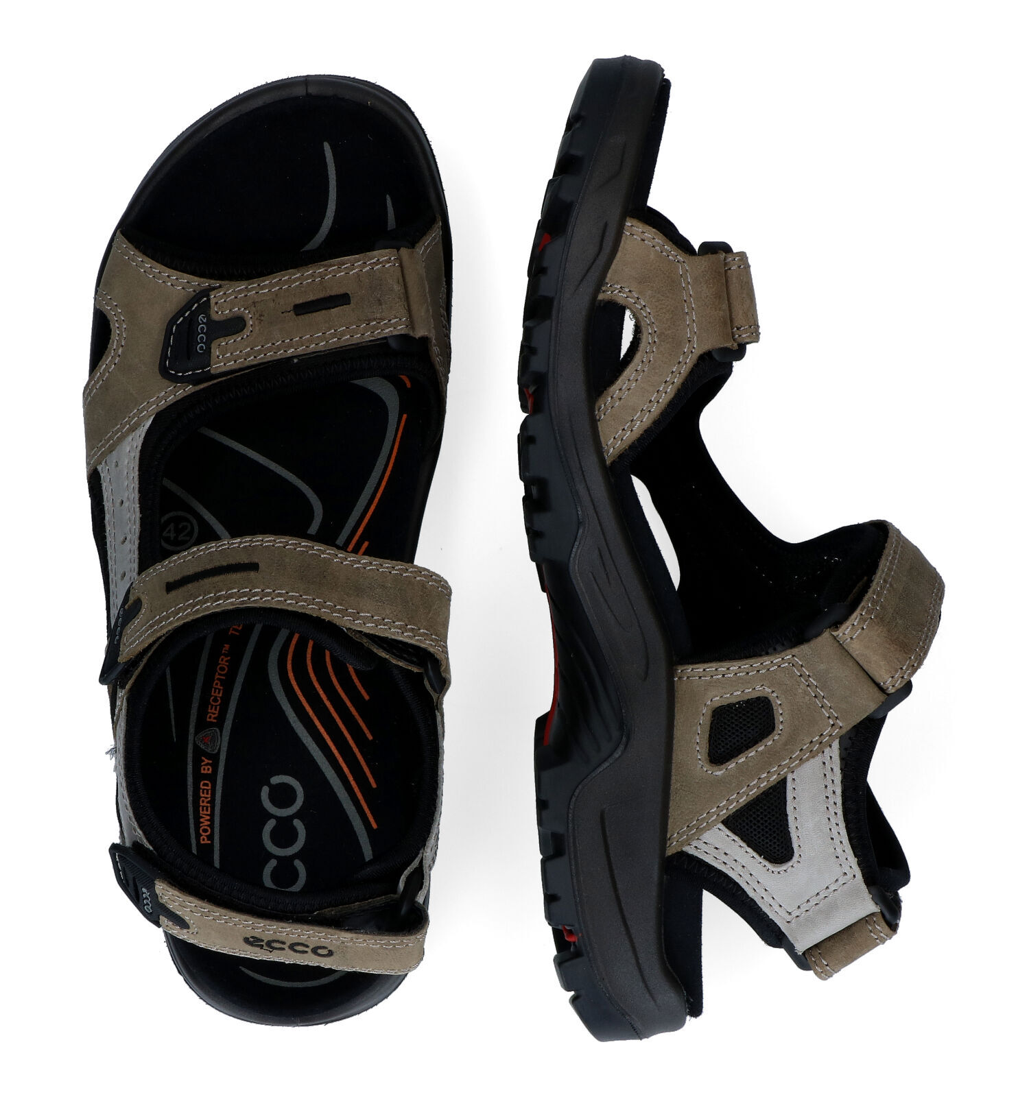 ECCO Yucatan Taupe Sandalen Heren Sandalen Online op TORFS.BE