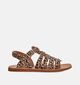Pom d'Api Plagette Strap Mini Leo Bruine Sandalen voor meisjes (370295)