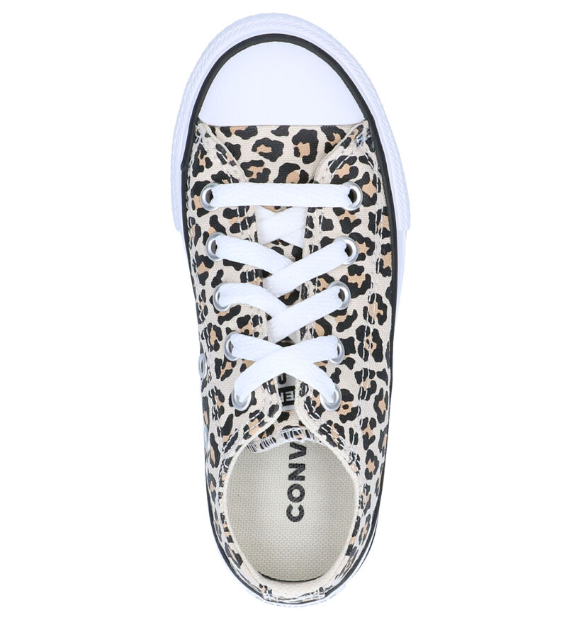 Converse Chuck Taylor AS OX Beige Sneakers in stof (263505)