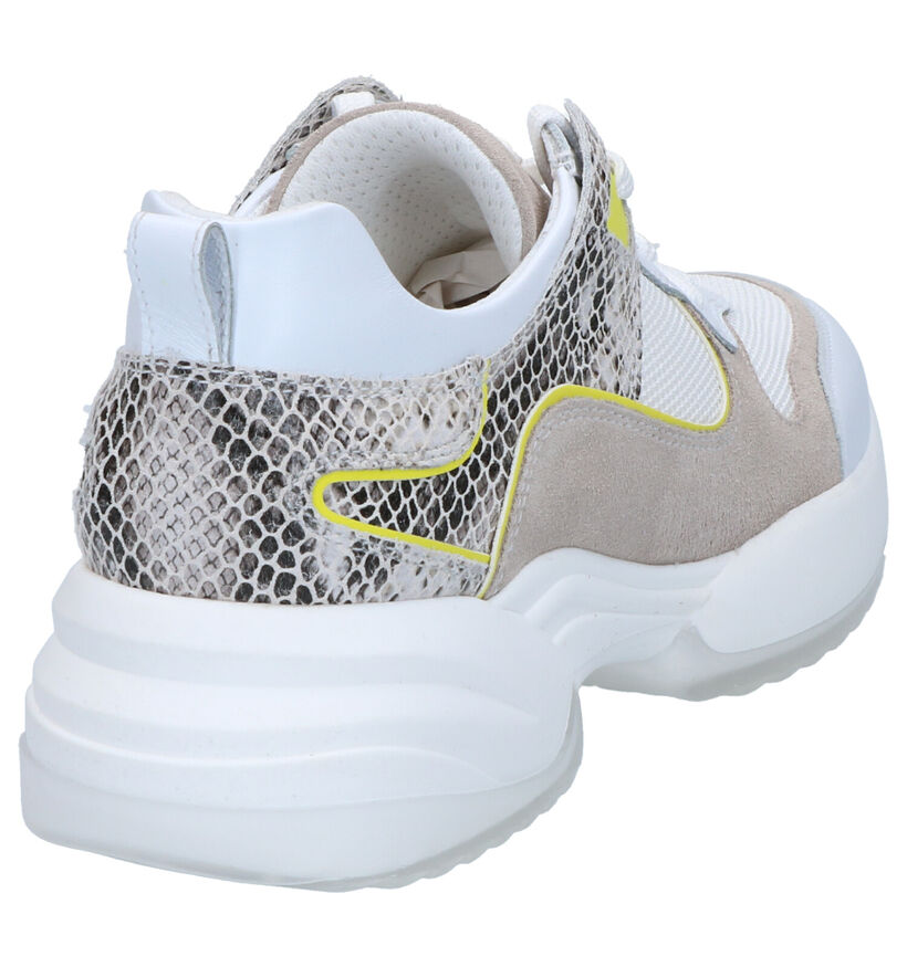 NeroGiardini Baskets casual en Blanc en cuir (273085)