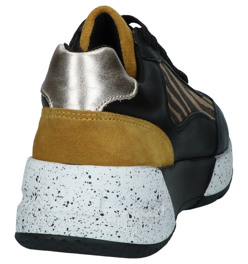 Bullboxer Baskets basses en Multicolore en cuir (248688)