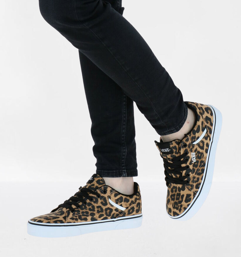 Vans Seldan Baskets en Brun en simili cuir (277597)