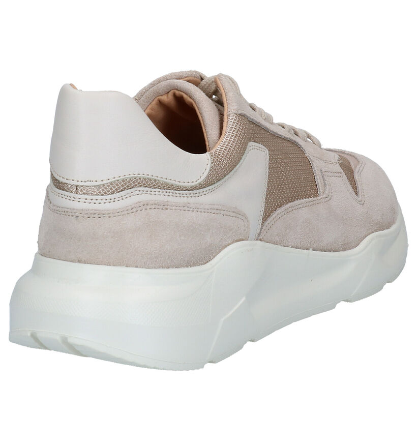 March23 Column Beige Sneakers in leer (296569)