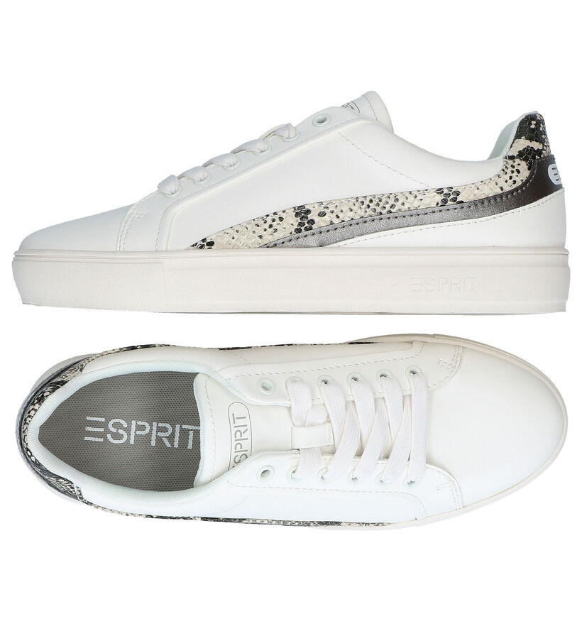 Esprit Colette Baskets en Blanc en simili cuir (295703)