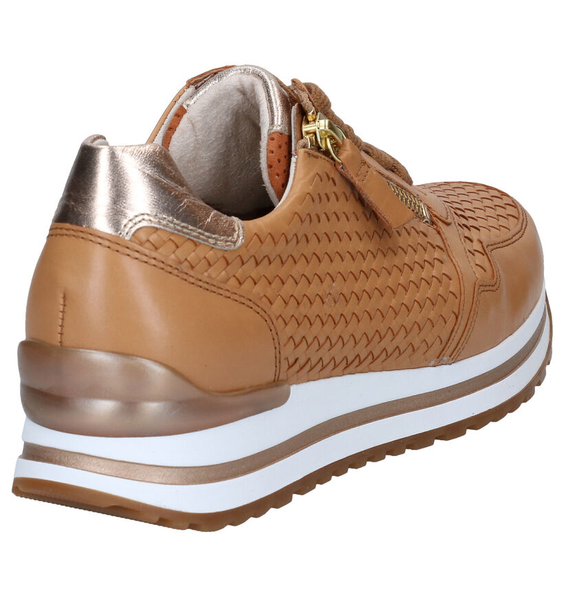 Gabor OptiFit Cognac Veterschoenen in leer (287771)