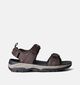 Skechers Tresmen Ryer Sandales en Marron pour hommes (354576)