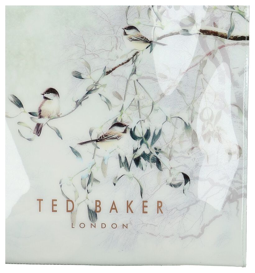 Lichtgroene Shopper Ted Baker Reacon in kunststof (236385)