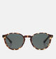 Komono Liam Tortoise Bruine Zonnebril voor dames (355178)